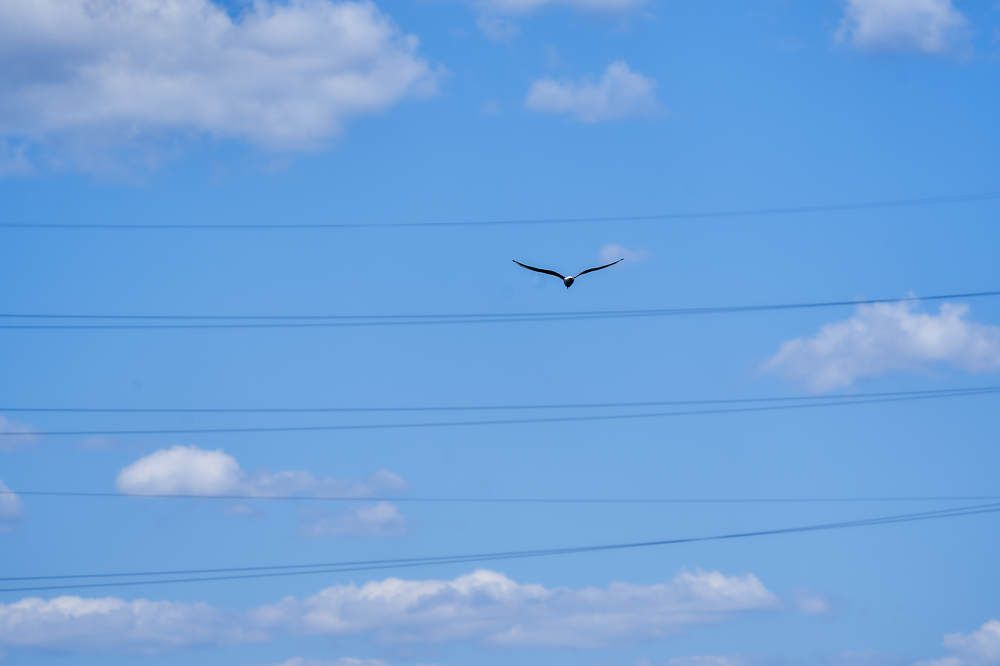 Photograph by Елена Мормоль