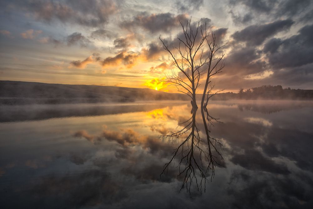 Туманный рассвет