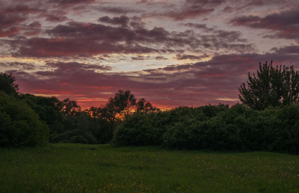 Photograph by Ольга Савина