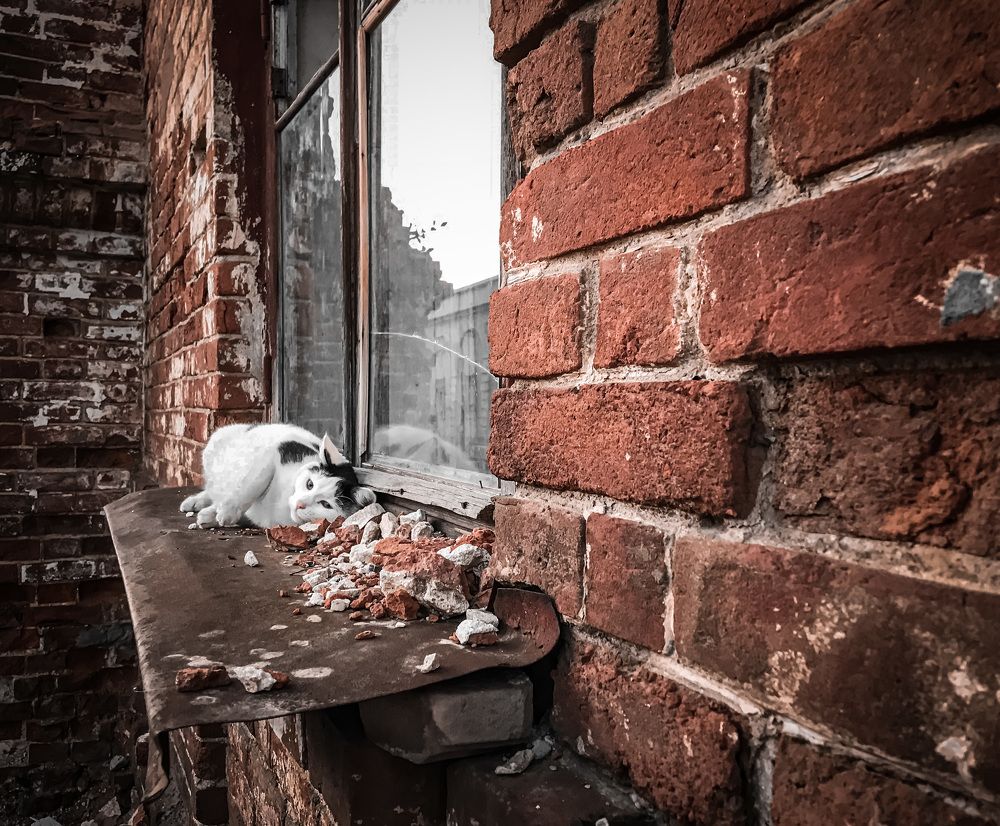 Photograph by Дмитрий Гришкевич