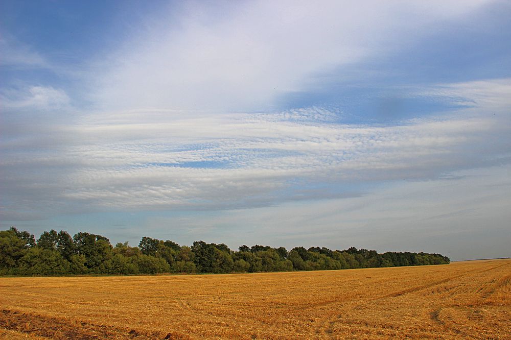 Русское раздолье!