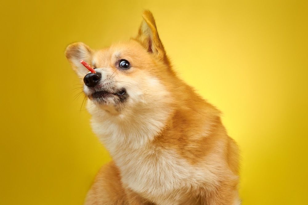 Photograph by Виктория Терентьева