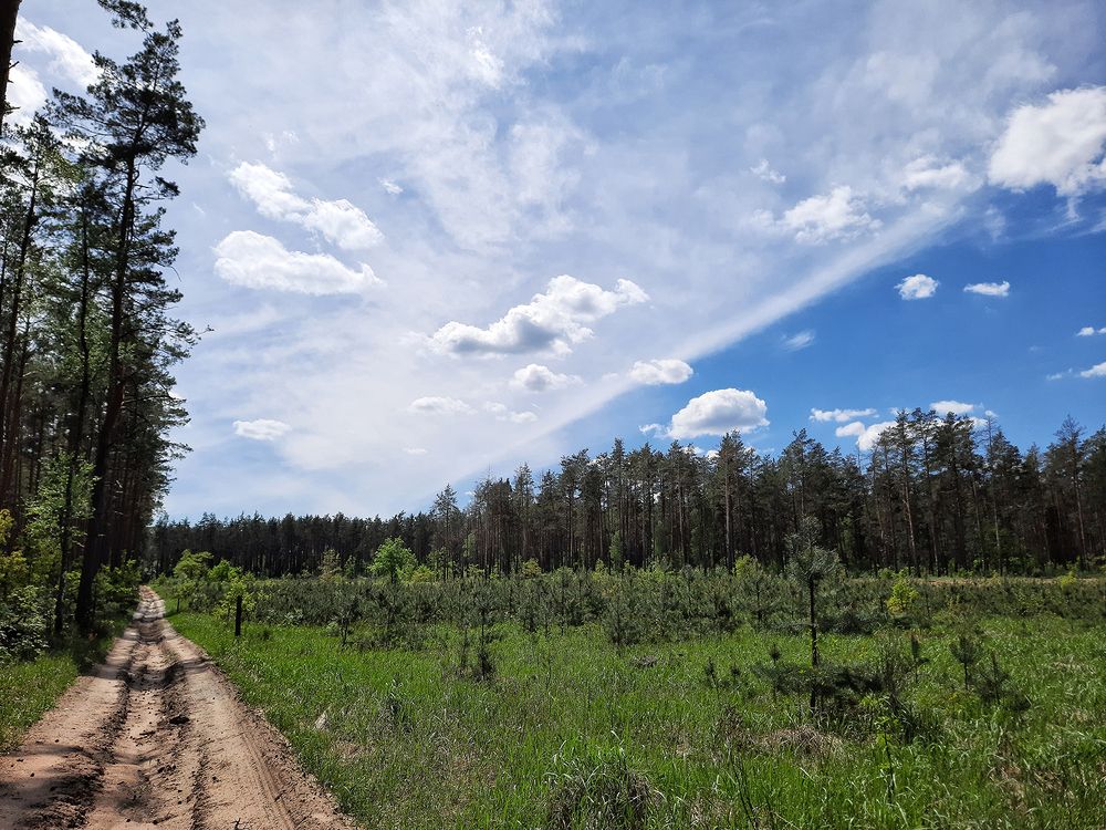 Photograph by Михаил Рассказ