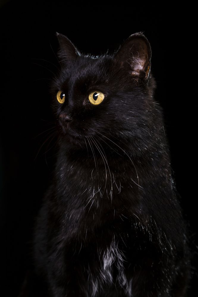 Photograph by Ирина Толокновская