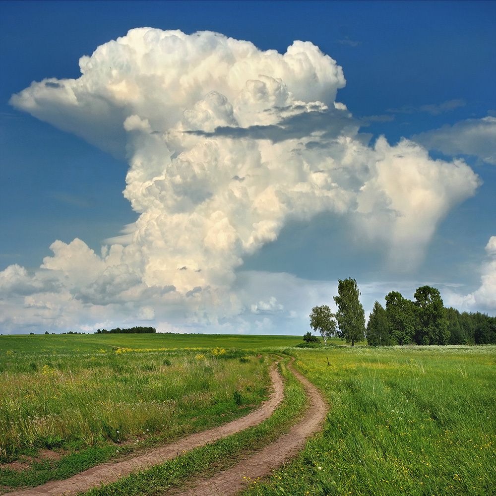 Photograph by Олег Фокин