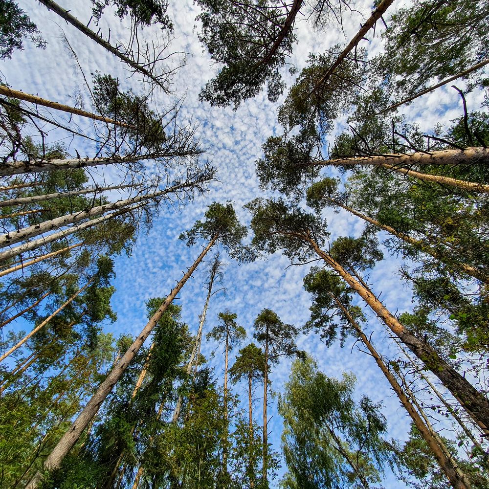 Photograph by Ангелина