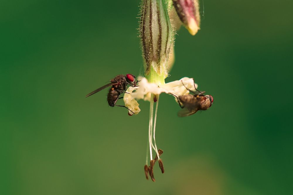 Утренний завтрак