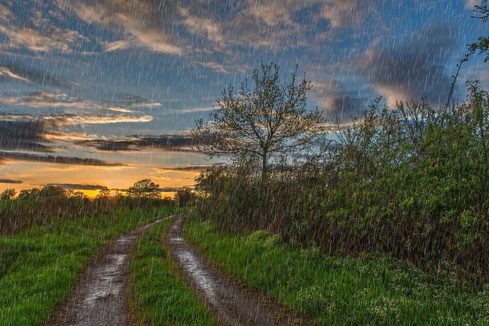 Photograph by Victor