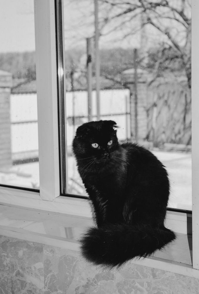 Photograph by Ольга Савина