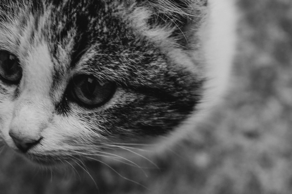 Photograph by Ольга Савина