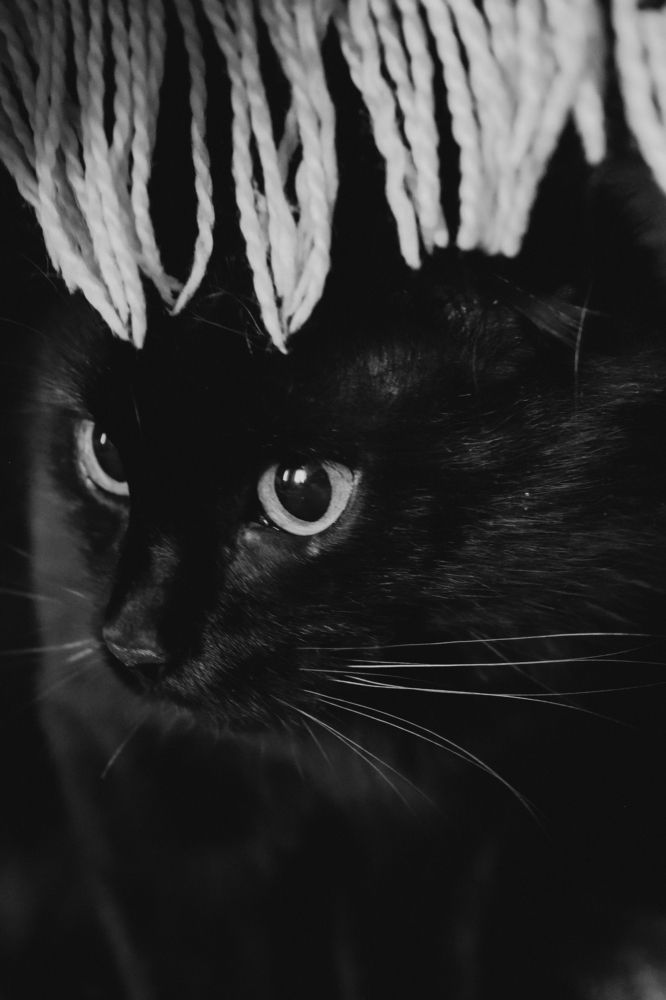 Photograph by Ольга Савина