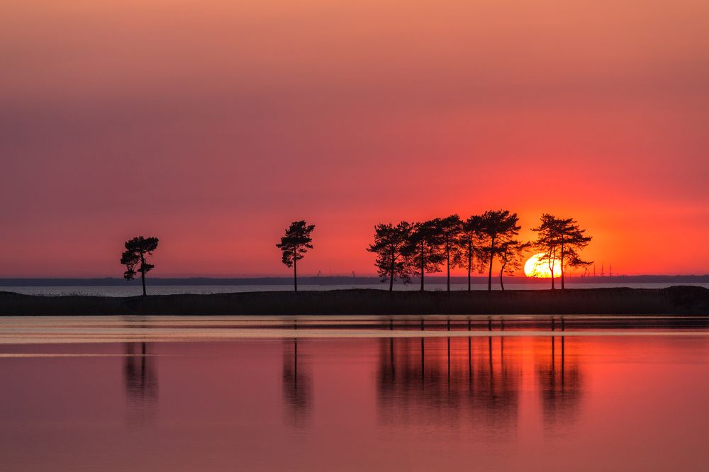 Photograph by Наталья Брюхненко