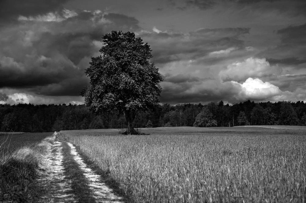 Photograph by Agnieszka Szadowiak