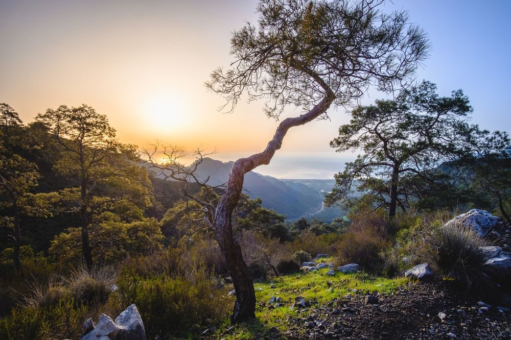 Photograph by Александр