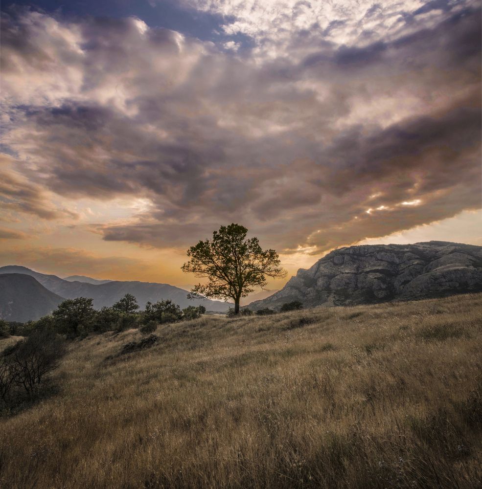 Photograph by abdolmoeed (hiwa) Maroufi