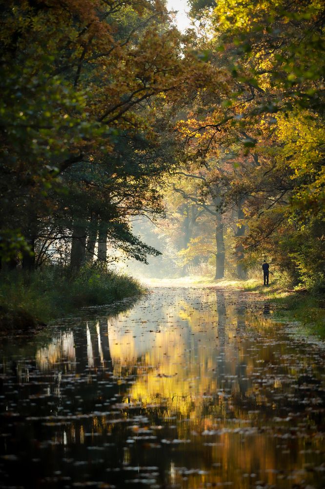 Photograph by Сергей Овчинников