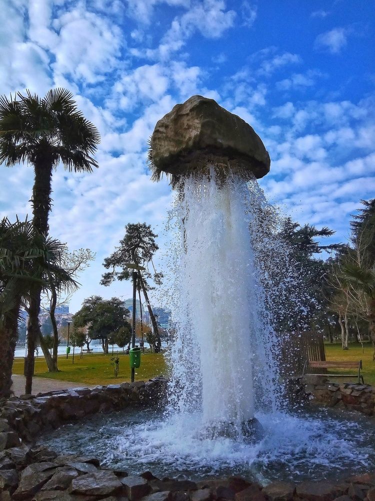 Photograph by Алла Холодова