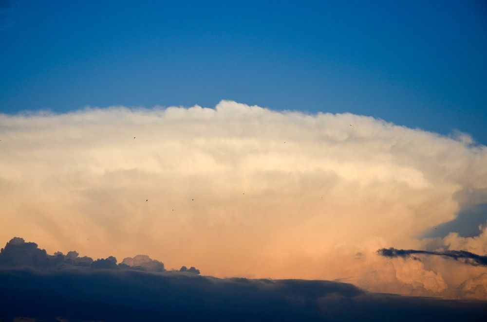 Photograph by Анастасия Кашенко