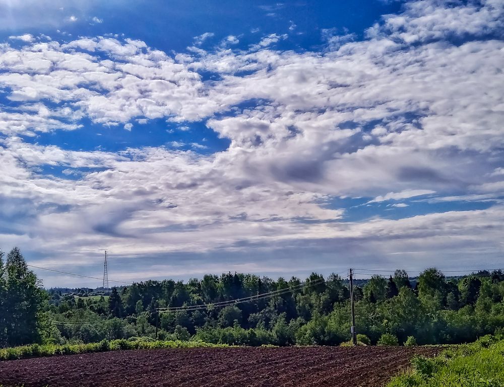 Photograph by Алексей Копылов