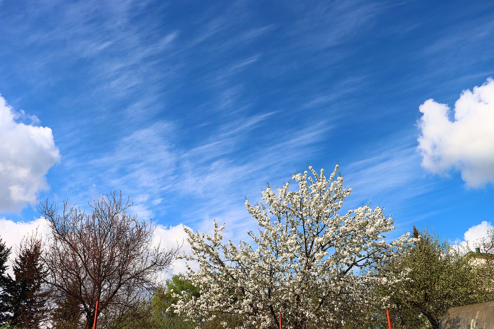 Photograph by Мария Попова