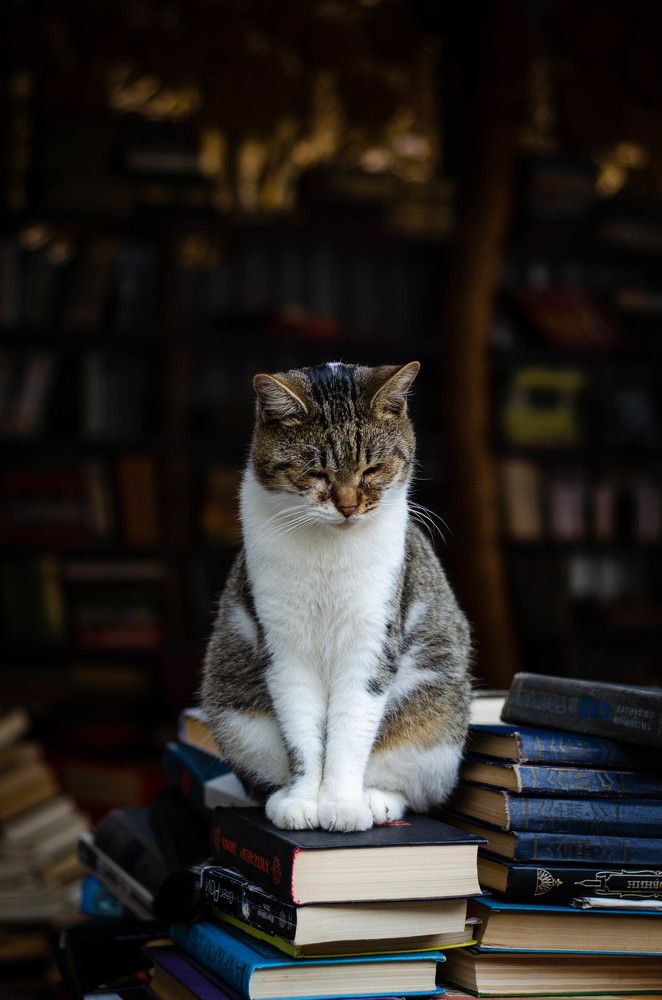 Photograph by Анастасия Кашенко