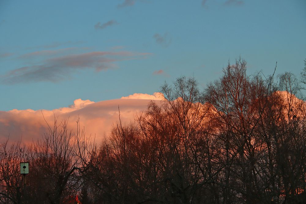 Photograph by Мария Попова