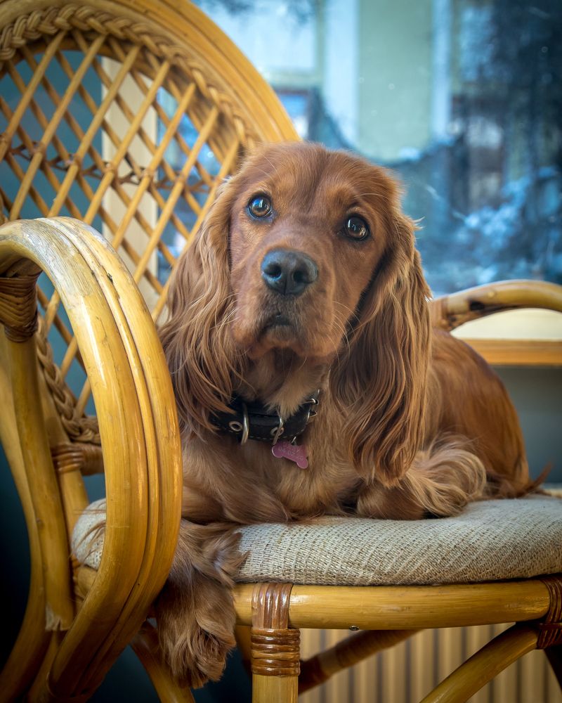 Photograph by Наталья Брюхненко