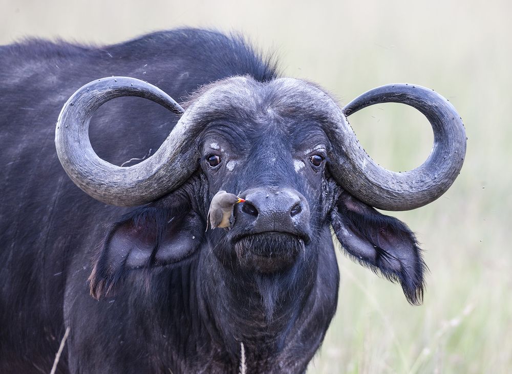 Фотография автора Анатолий Макоедов