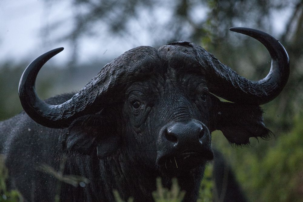 Фотография автора Анатолий Макоедов