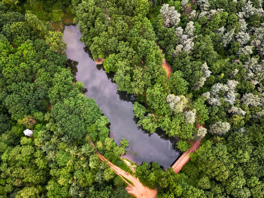 Photograph by Slavica Stajić