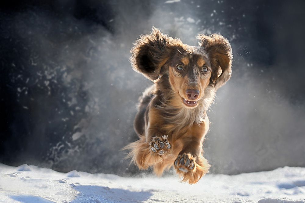 Photograph by Андрей Ершов