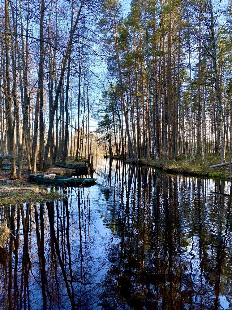 Photograph by Наталья Казачок