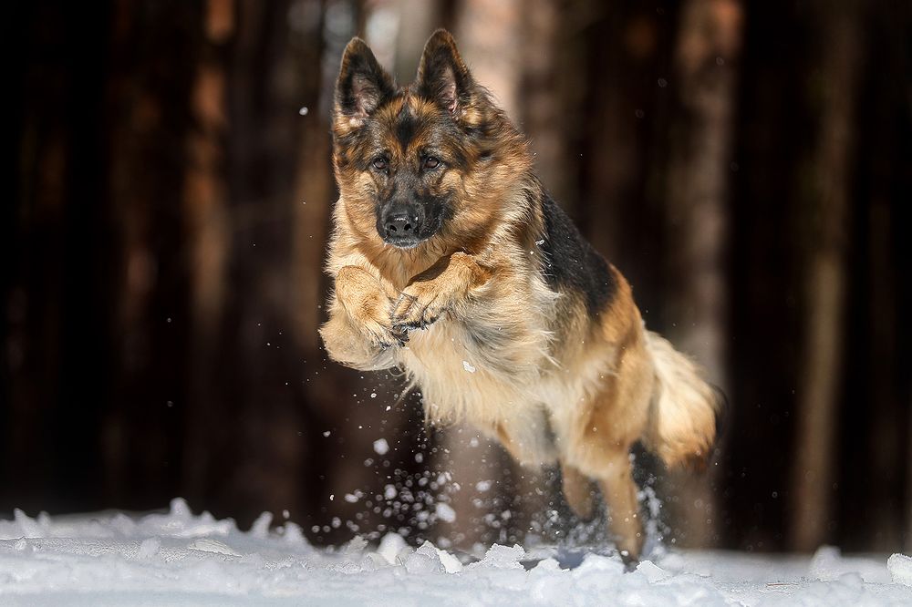 Photograph by Андрей Ершов