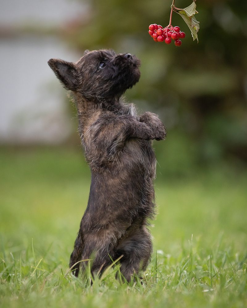 Photograph by Спесивцева Эльмира