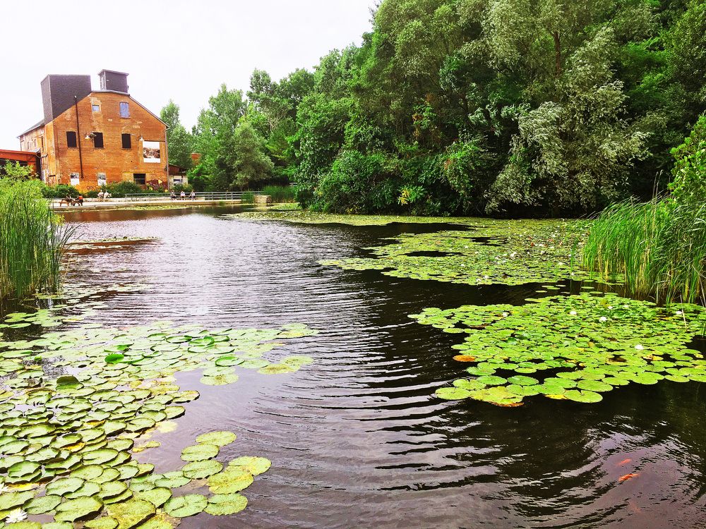 Photograph by Владимир Молостов