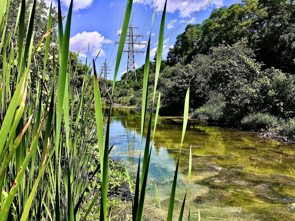 Photograph by Владимир Молостов