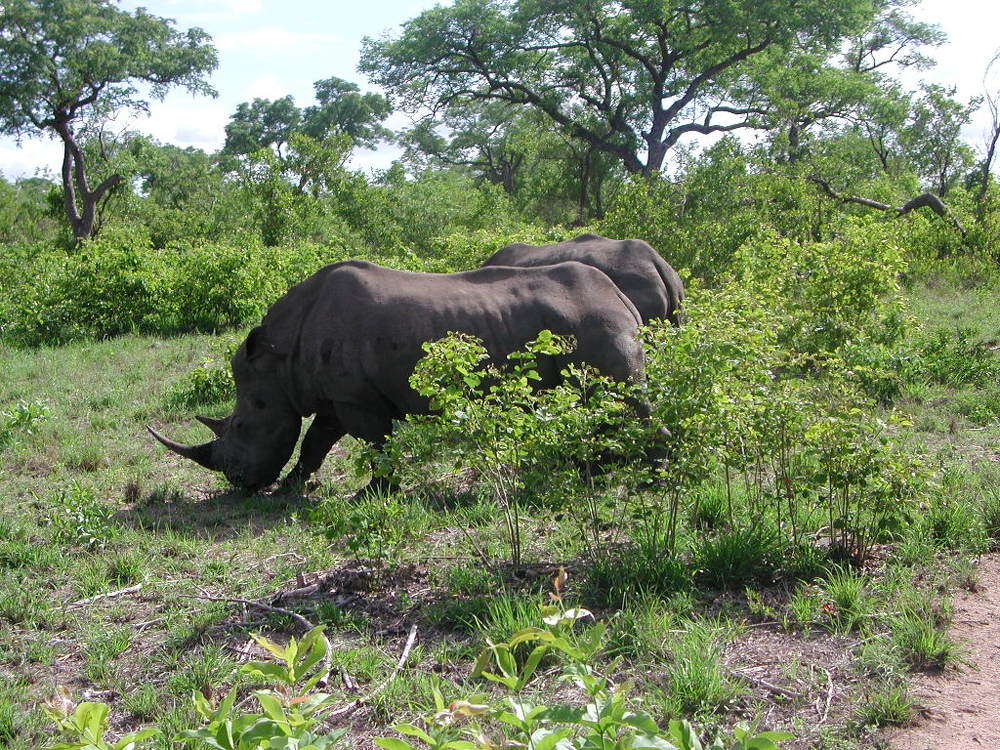 Photograph by Olgafotoos