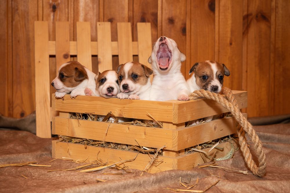 Photograph by Спесивцева Эльмира