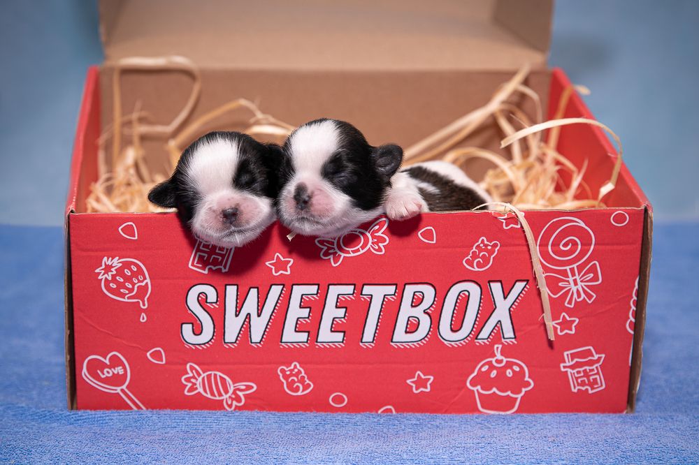 Photograph by Спесивцева Эльмира