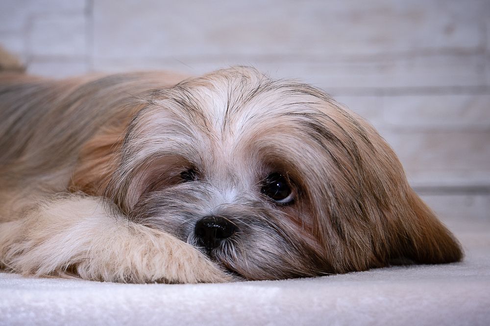 Photograph by Спесивцева Эльмира