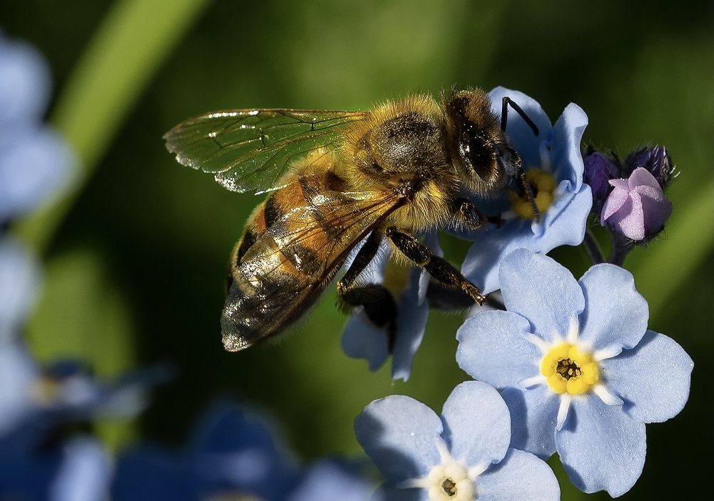 Photograph by Алёна Жаак