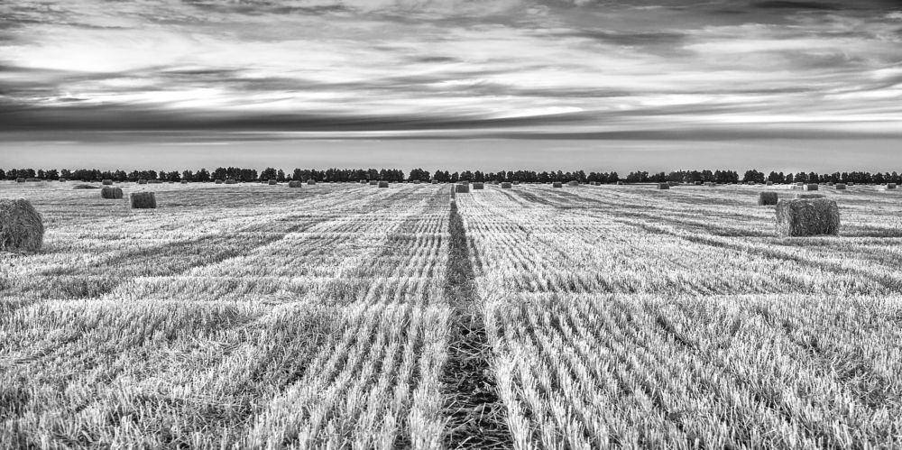 Photograph by Богдан Тарасов