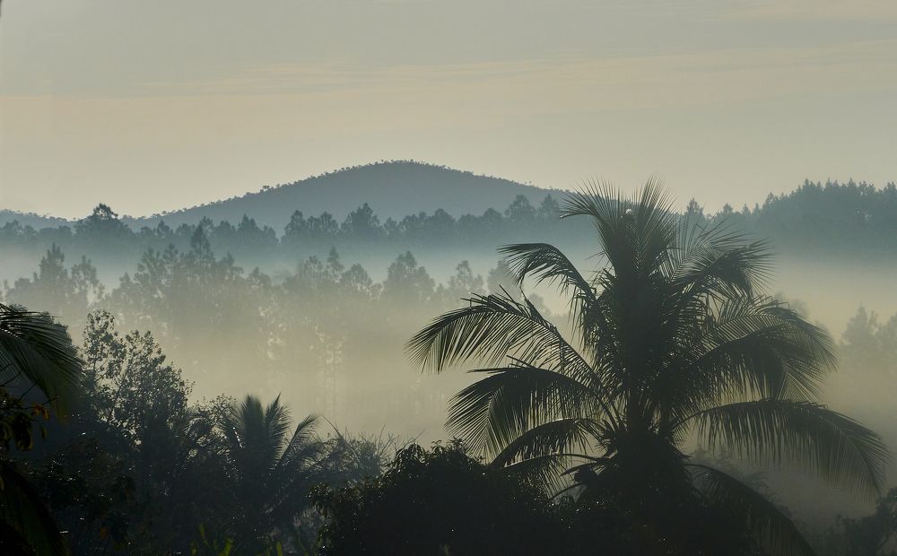 Photograph by Ryanny Torna