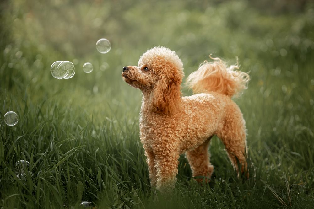 Photograph by Ксения Шевчук