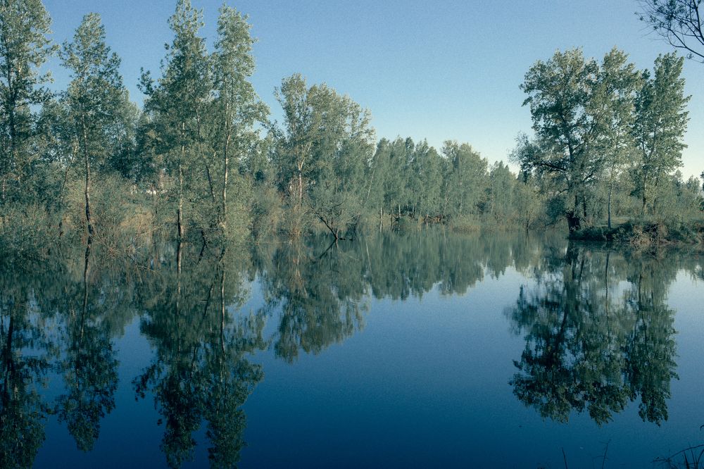 Photograph by Оксана Корчагина