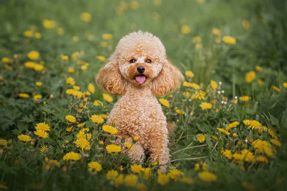 Photograph by Ксения Шевчук