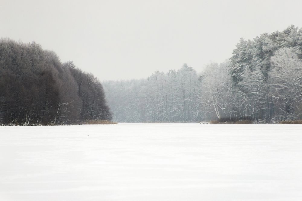 Photograph by Богдан Тарасов