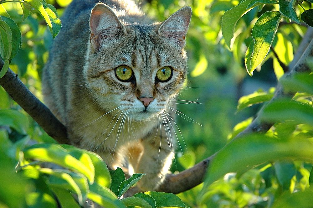 Photograph by Нелли Сидоренко