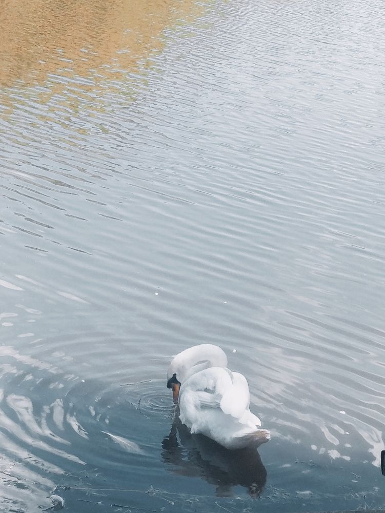 Photograph by Ольга Гаврилюк