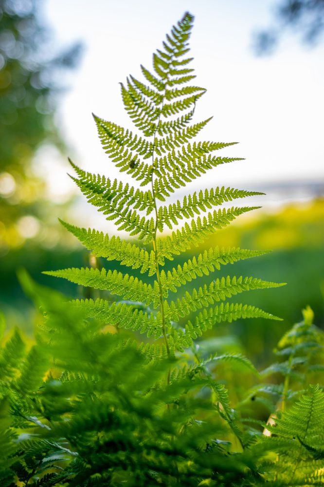 Photograph by Ivan Bazhenov